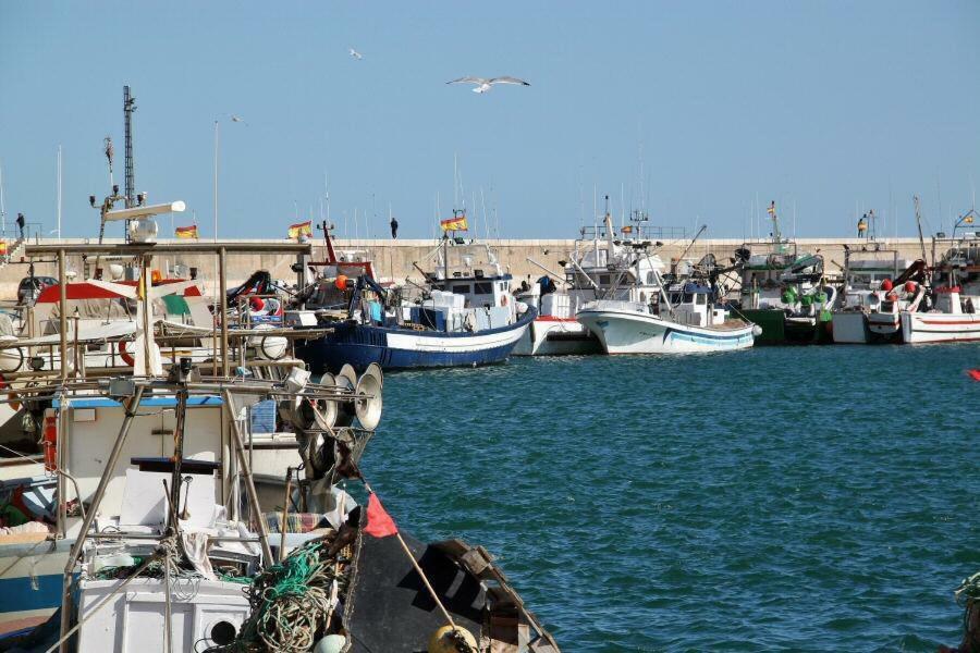 Junto Al Mar *